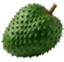 Graviola em Pasta